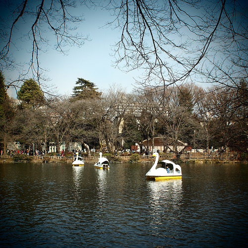 三重県の公園おすすめランキング 人気の遊具や大人も楽しめる所は Travelnote トラベルノート