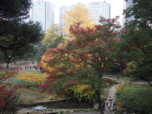 小石川後楽園見どころ 池 - 小石川後楽園は東京都内にある歴史ある庭園！アク
セスや所要時間は