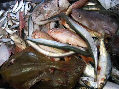 ワラスボは九州で獲れるエイリアンのような魚 おすすめの食べ方を紹介 Travelnote トラベルノート