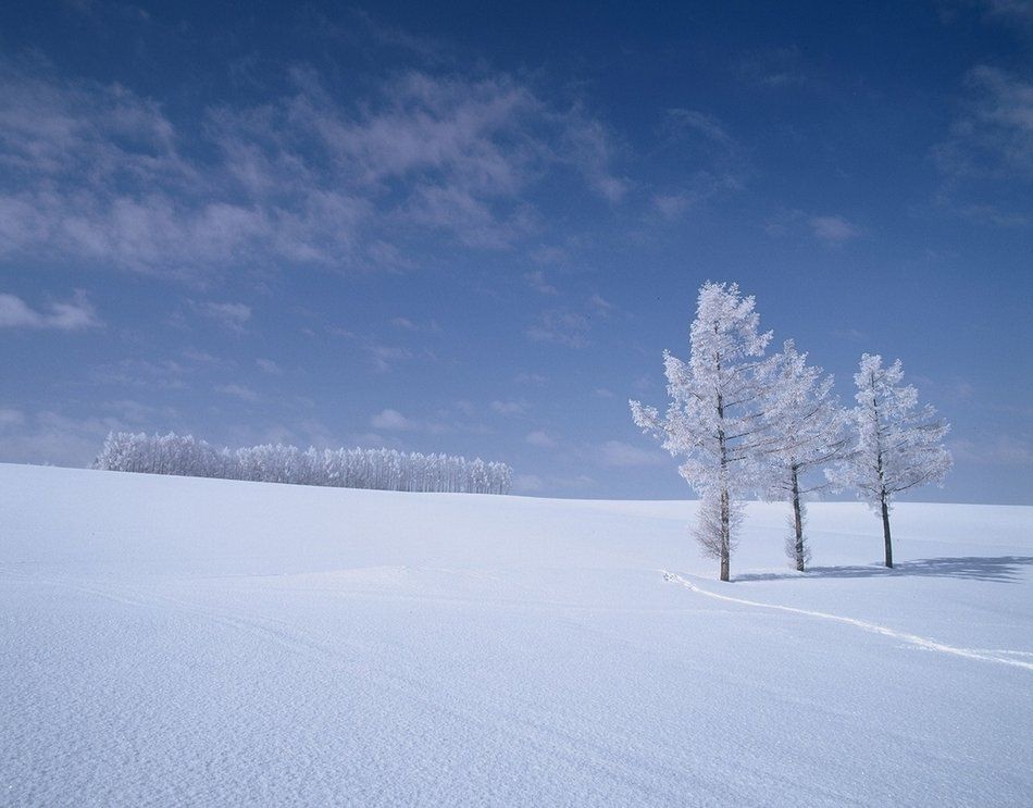 北海道・冬の観光スポット11選！モデルコースあり！おすすめの絶景は？