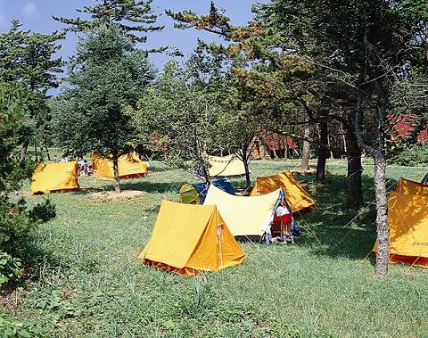 青森のキャンプ場おすすめランキングTOP９！子供に人気の場所は？