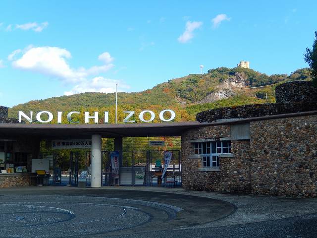のいち動物公園（野市動物園）は高知県！ランチや入場料・夜・営業時間など