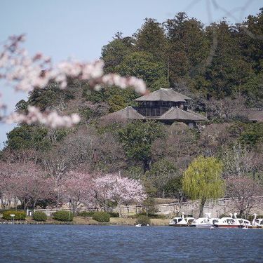 水戸の居酒屋おすすめ9選 駅近や個室のあるおしゃれなところなどご紹介 Travelnote トラベルノート