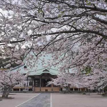 源氏山公園は桜 紅葉 ハイキングコースが魅力のスポット アクセス 駐車場は Travelnote トラベルノート