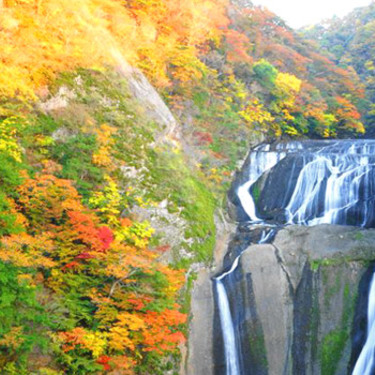 袋田の滝の紅葉を見に行こう ライトアップした幻想的な風景も見れる Travelnote トラベルノート