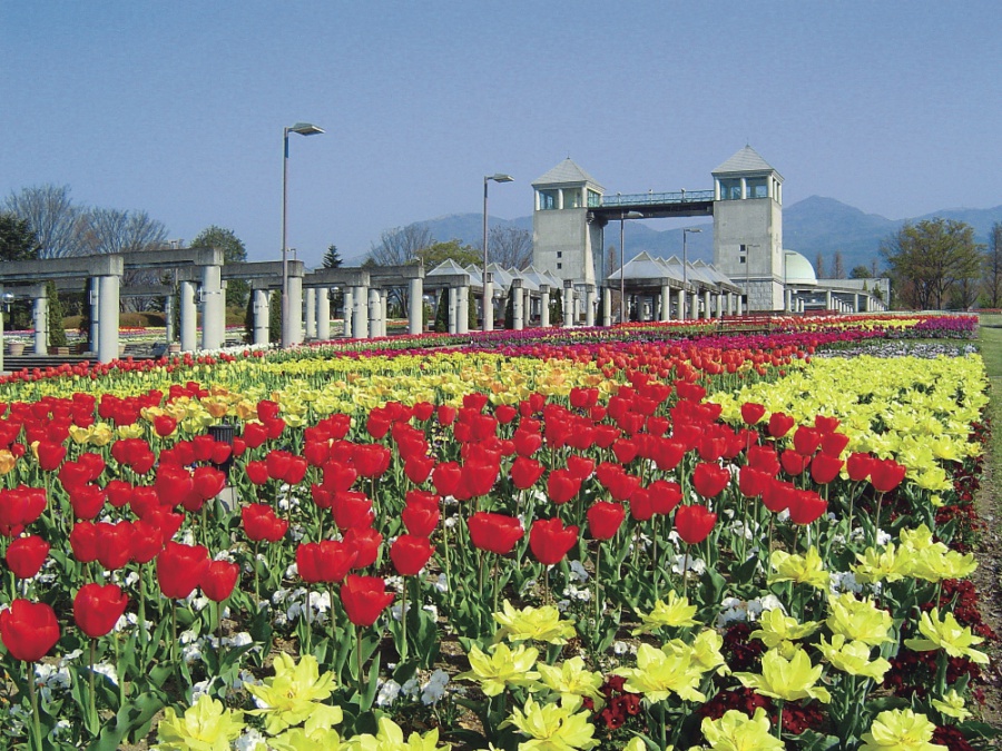 群馬でデートならココ おすすめスポットまとめ 公園や食事なども紹介 2ページ目 Travelnote トラベルノート