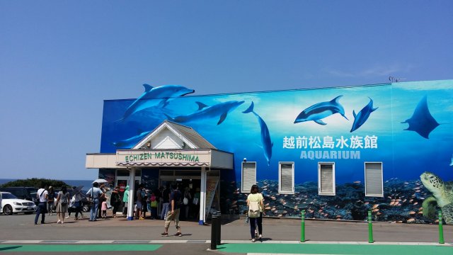 越前松島水族館の料金は？アクセス方法や楽しむコツなどを紹介！