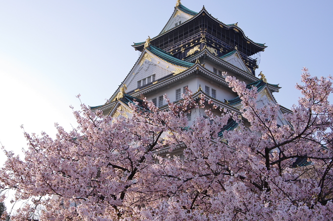 大阪城公園の桜の見頃は ライトアップの時間帯 屋台情報も調査 Travelnote トラベルノート