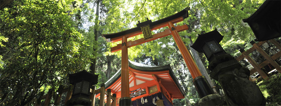 京都伏見稲荷を観光！神社の魅力や周辺のランチまでご紹介！