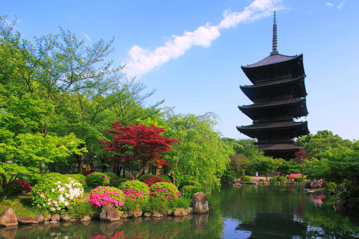 京都の東寺観光 おすすめの見どころからアクセス方法まで Travelnote トラベルノート