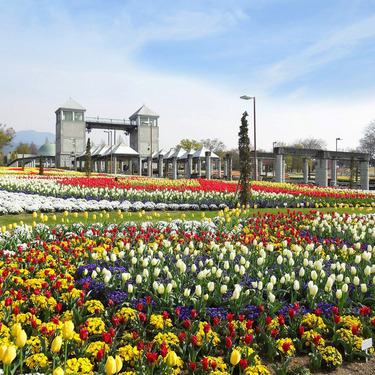 群馬県の方言はかわいい どんな特徴があるのか調査 一覧紹介 Travelnote トラベルノート