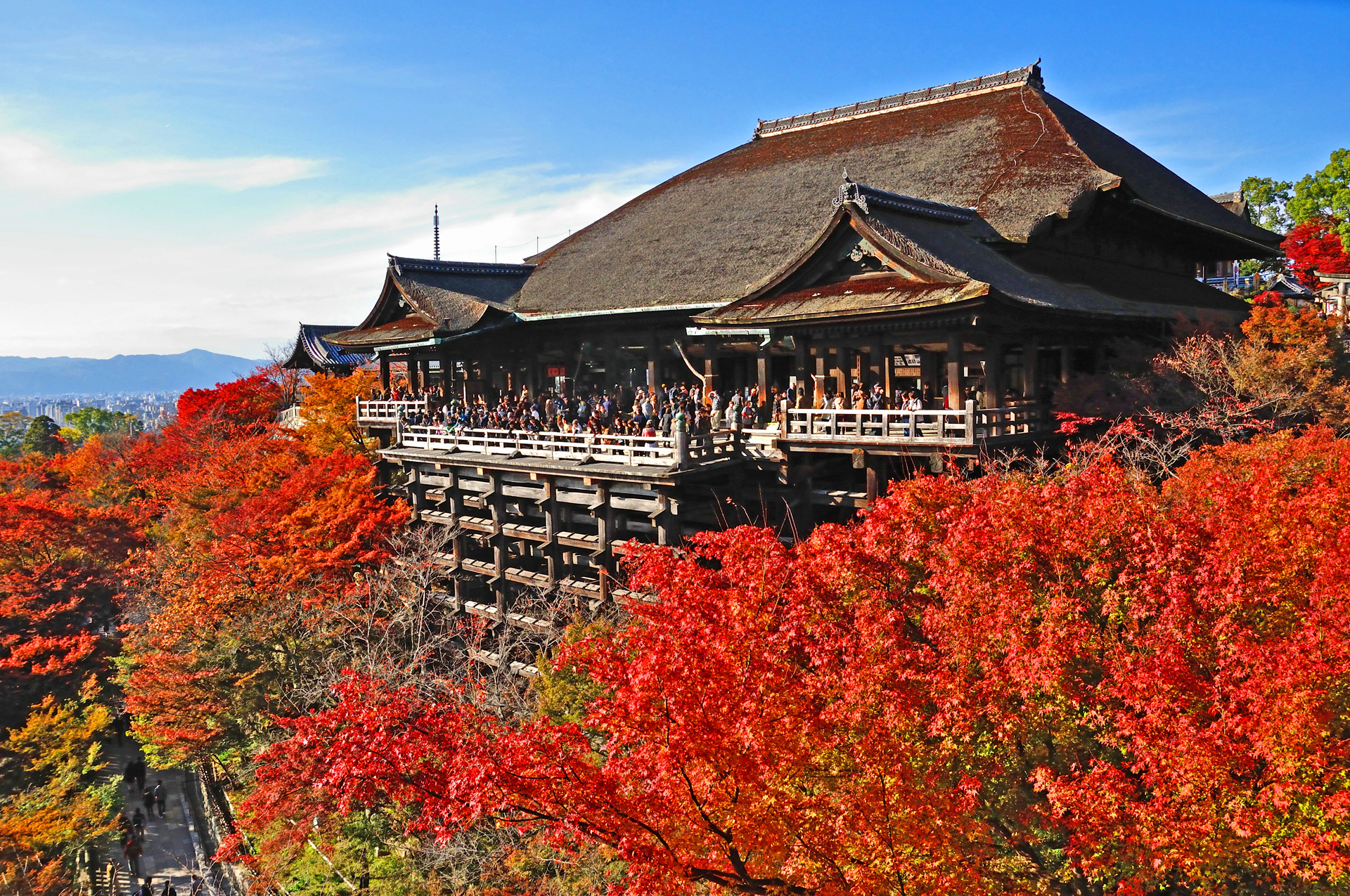 京都の寺ランキング31 パワースポットやおすすめの観光名所も Travelnote トラベルノート