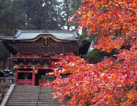日光国立公園とは？広大な範囲に史跡・大自然！紅葉も！日本初ってなに？