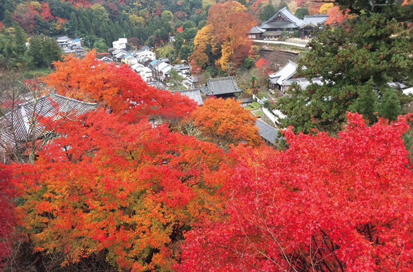 奈良の紅葉特集 名所の見頃 穴場をご紹介 ドライブにおすすめはどこ Travelnote トラベルノート