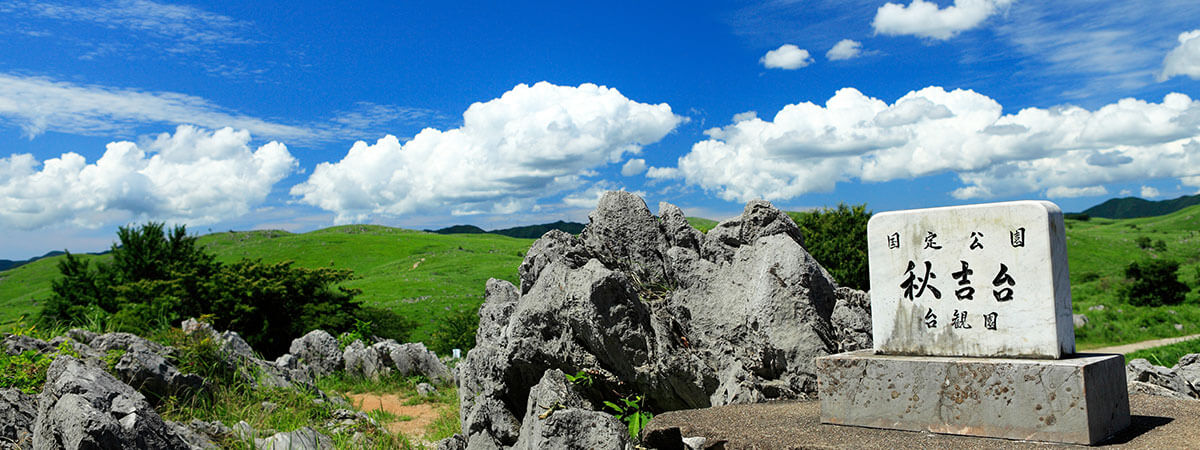 秋吉台は日本最大級のカルスト台地 アクセスは 観光におすすめ山焼きの時期は Travelnote トラベルノート