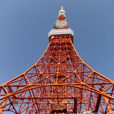 東京タワー水族館の料金や営業時間は 口コミまとめ 珍しい魚も多数 Travelnote トラベルノート