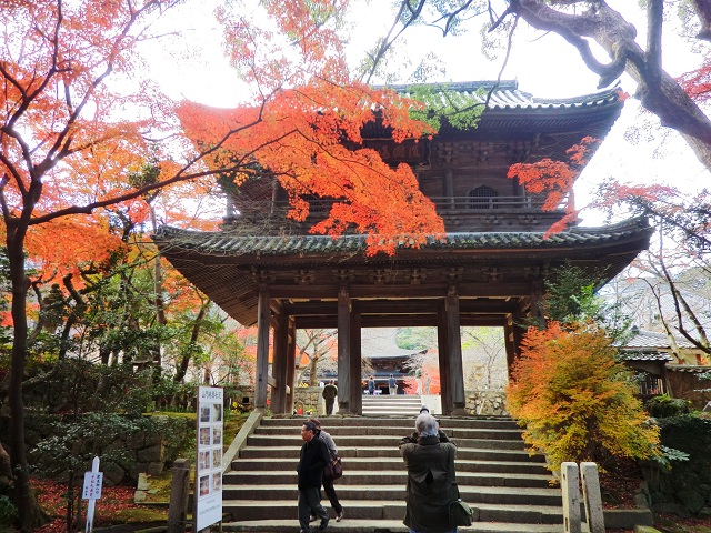 功山寺は景勝地として人気！桜、紅葉の見ごろは？自然の美しさを楽しもう！