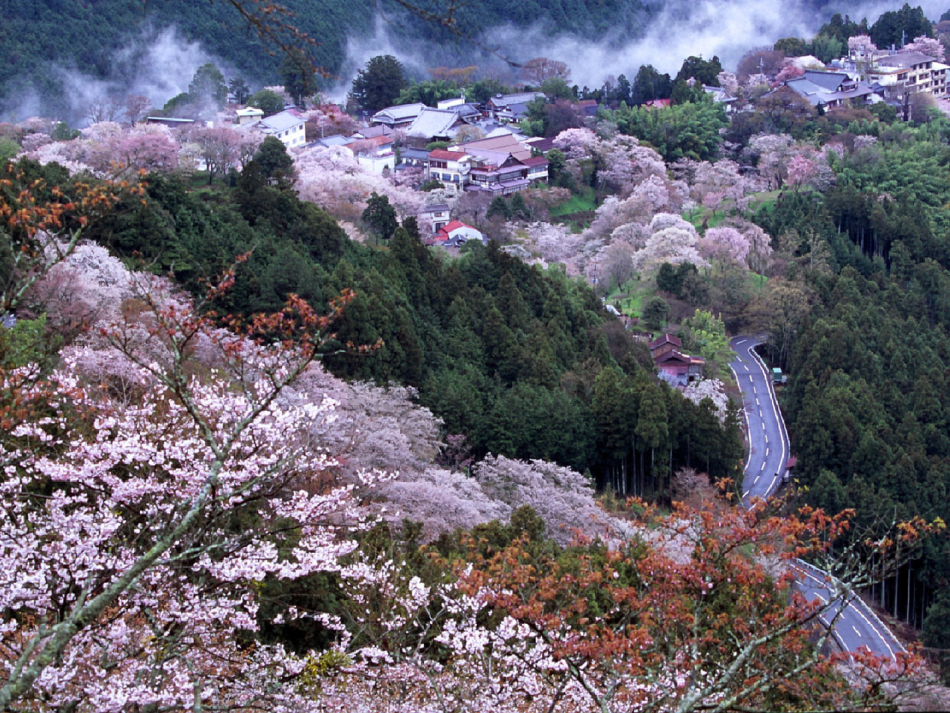奈良吉野の観光情報 桜だけじゃない 温泉 ハイキング グルメなど一挙ご紹介 Travelnote トラベルノート