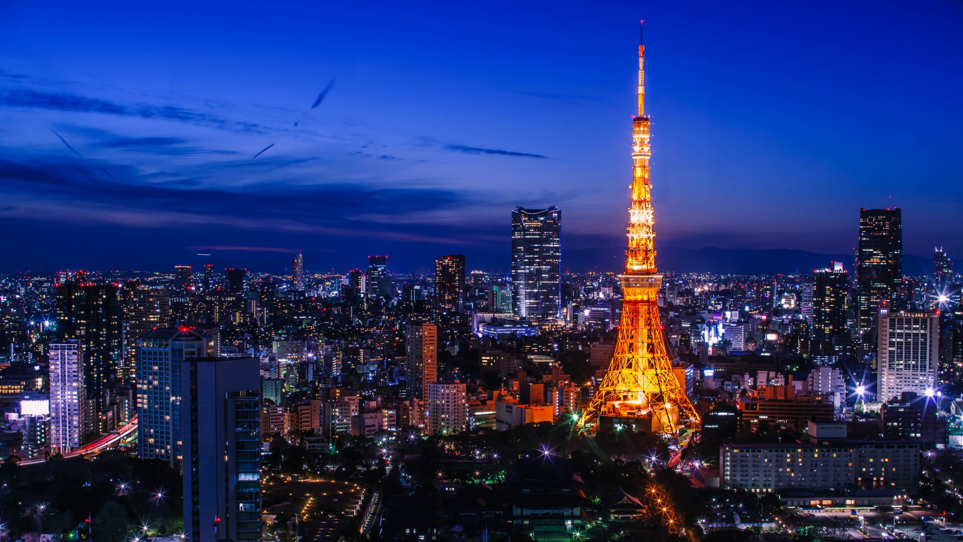 東京都内の子供向け観光スポットのおすすめを紹介 大人も一緒に楽しめる Travelnote トラベルノート