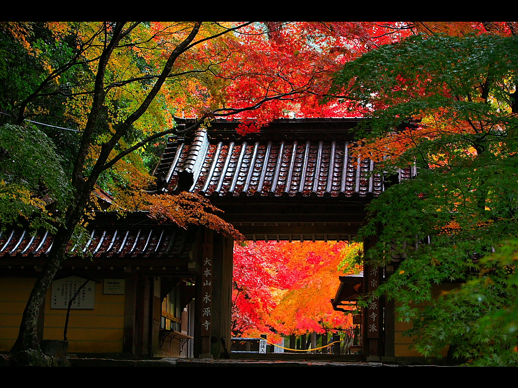 滋賀 永源寺人気観光スポットのご紹介 紅葉が美しい温泉もあり Travelnote トラベルノート