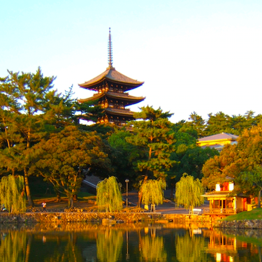 興福寺へ行こう 国宝館の阿修羅像 御朱印など見所を一挙ご紹介 Travelnote トラベルノート