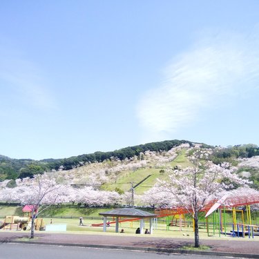 観音池公園一帯でキャンプ場やプールにバーベキューを楽しむ 春は桜も人気 Travelnote トラベルノート