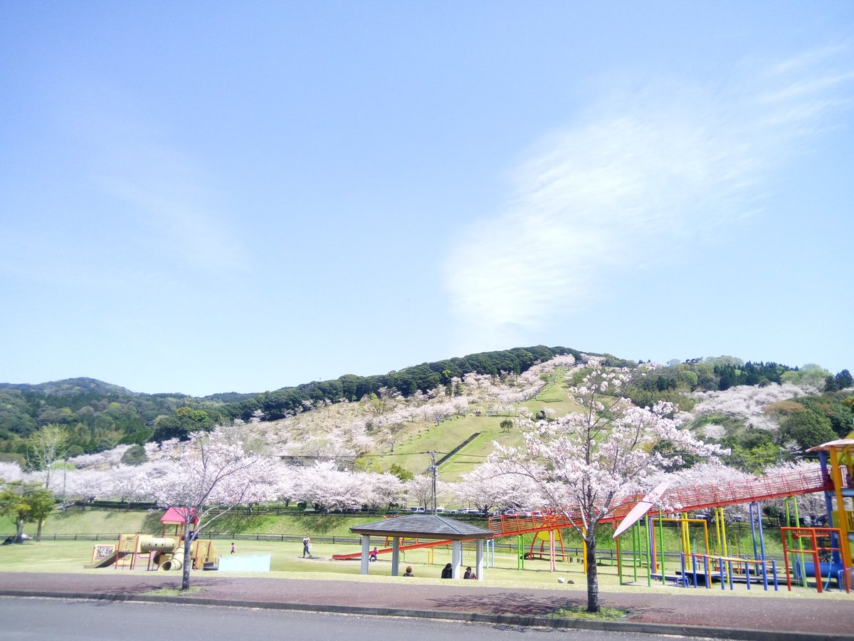 観音池公園一帯でキャンプ場やプールにバーベキューを楽しむ！春は桜も人気！