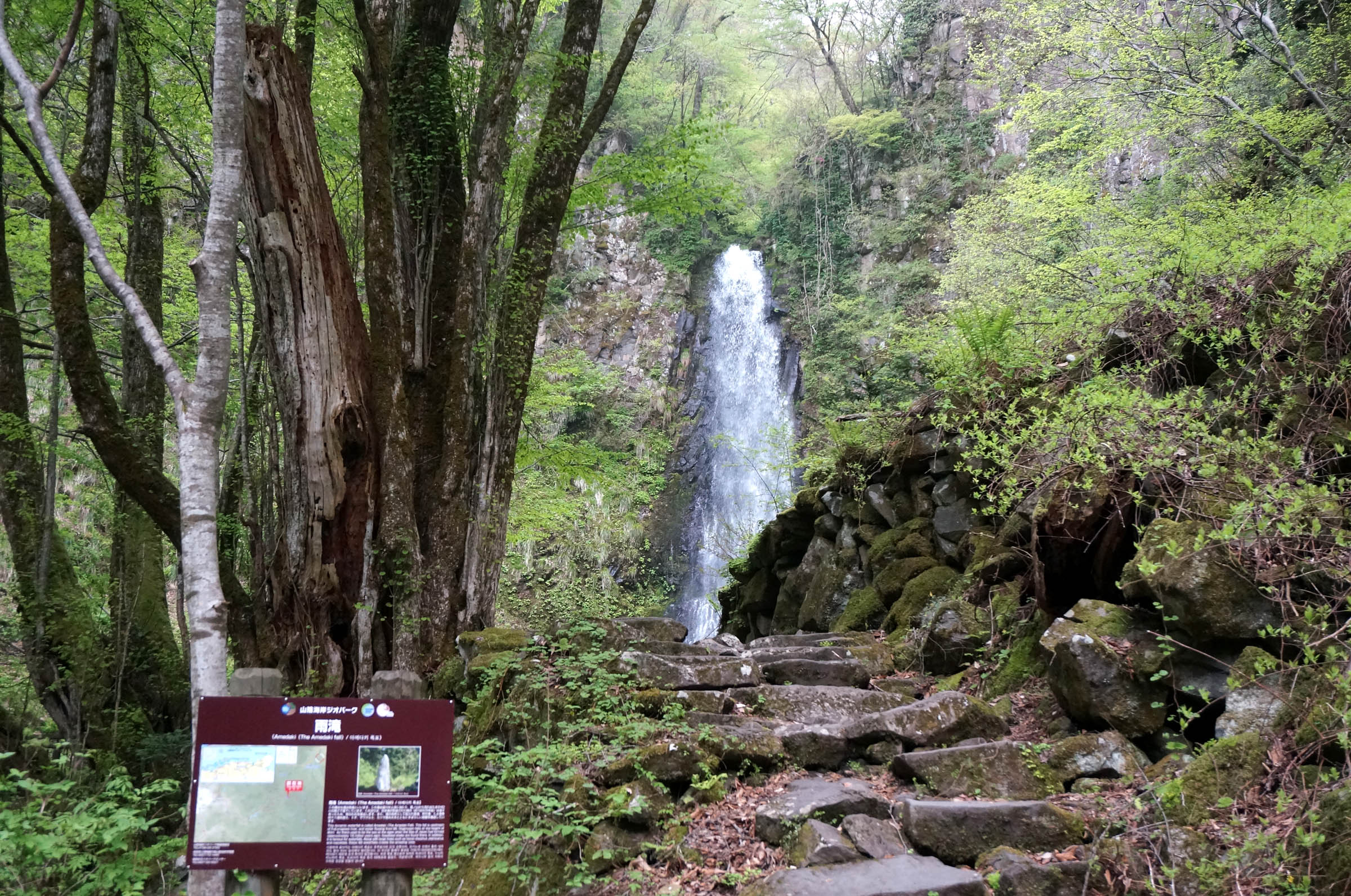 鳥取の雨滝は滝百景 絶景スポットとして人気 周辺のおいしい豆腐もご紹介 Travelnote トラベルノート
