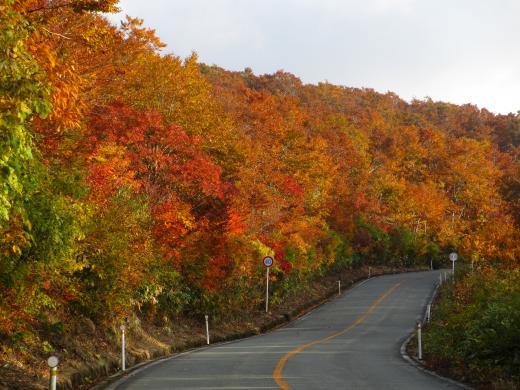 蔵王の紅葉を見に行こう 見頃の時期は 絶景スポットをご紹介 Travelnote トラベルノート