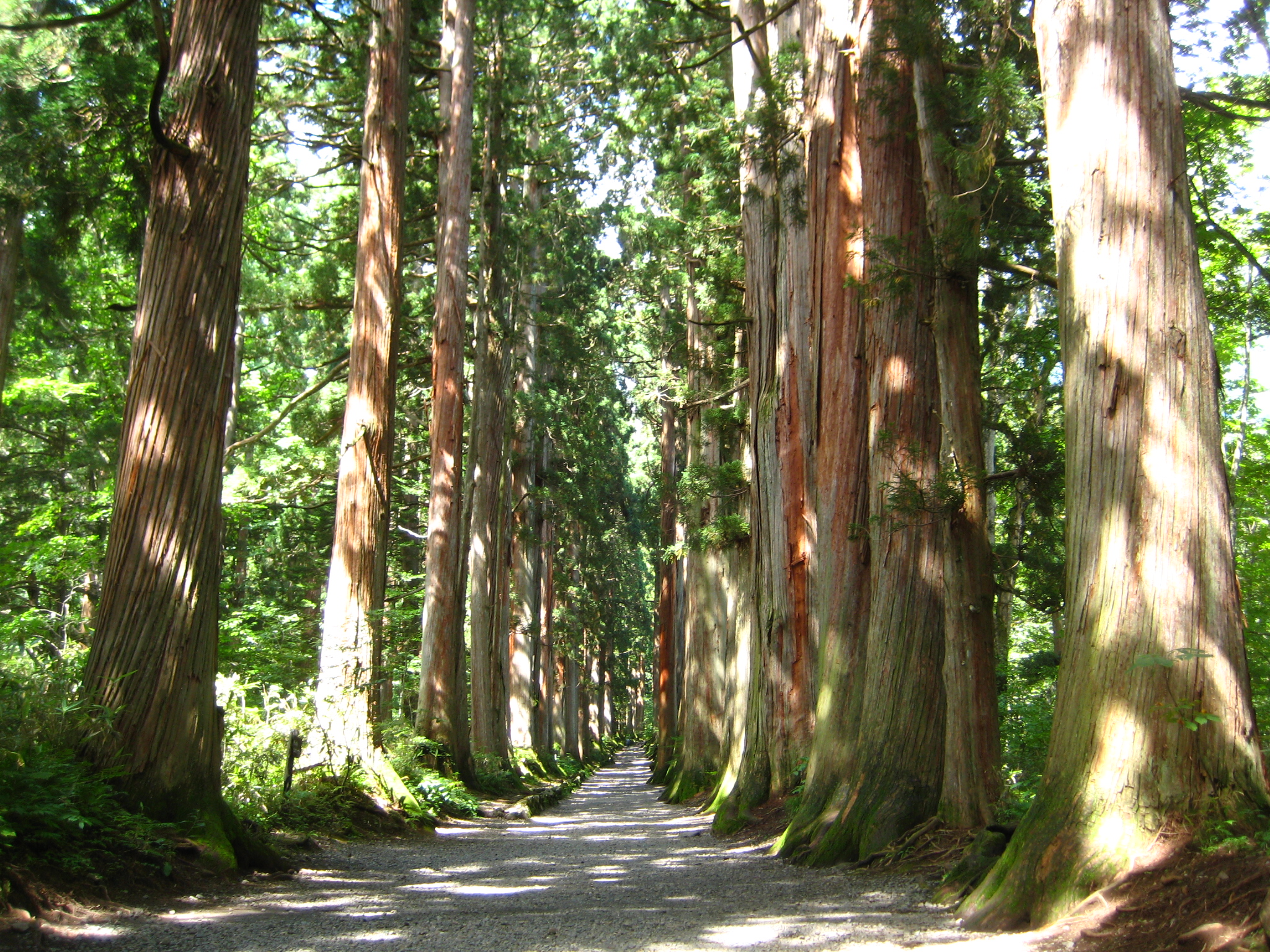 戸隠周辺の観光名所選 鏡池や紅葉から神社まで見どころを網羅 Travelnote トラベルノート