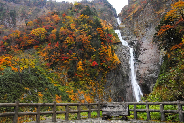 称名滝の紅葉は見逃せない アクセス情報 日本一の絶景は迫力満点 Travelnote トラベルノート