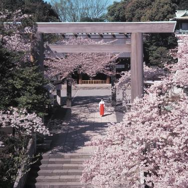 横浜で初詣に行くならどこ おすすめ 穴場の神社をまとめました Travelnote トラベルノート