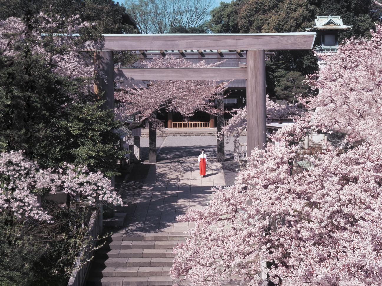 横浜で初詣に行くならどこ おすすめ 穴場の神社をまとめました Travelnote トラベルノート