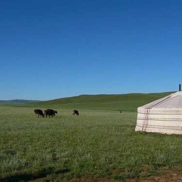 モンゴル旅行の注意点は 費用や持ち物 服装などを紹介 治安情報も Travelnote トラベルノート