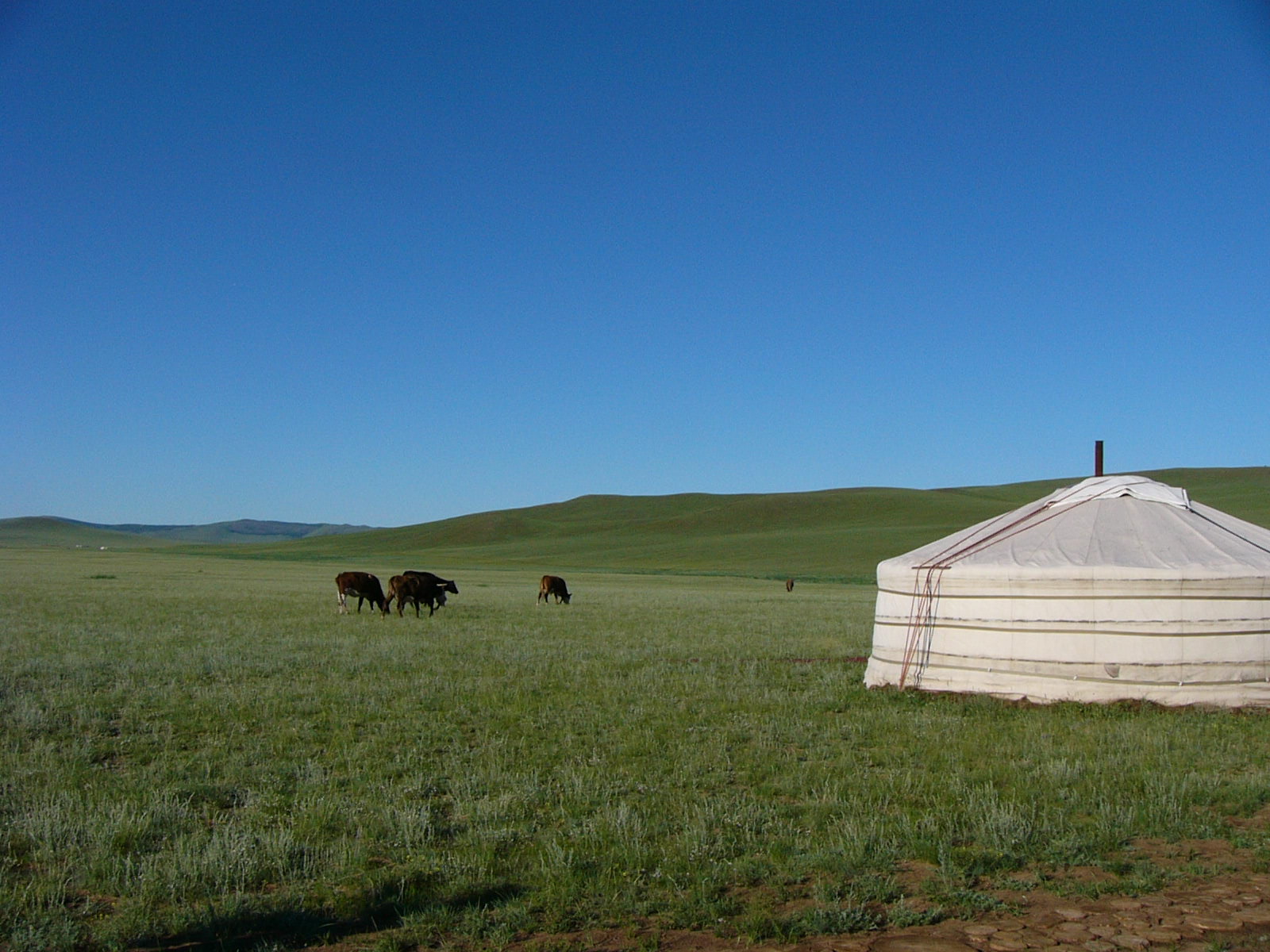 モンゴル旅行の注意点は 費用や持ち物 服装などを紹介 治安情報も Travelnote トラベルノート