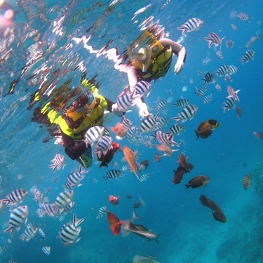 沖縄でシュノーケリング おすすめの人気ポイントとビーチで熱帯魚を観察 Travelnote トラベルノート