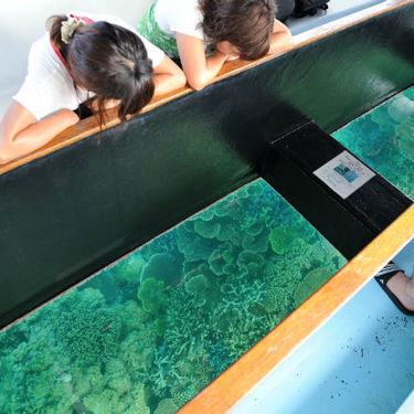 沖縄の海をグラスボートで水中観光しよう 人気スポットをご紹介 Travelnote トラベルノート