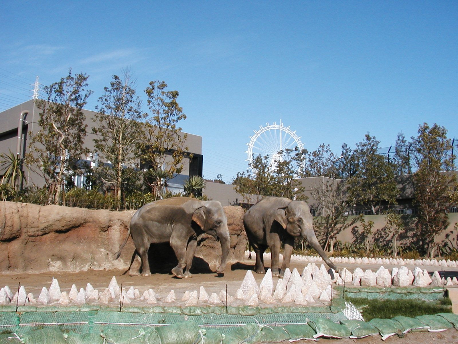 神奈川県内にある動物園のおすすめは 人気ランキングを紹介 Travelnote トラベルノート