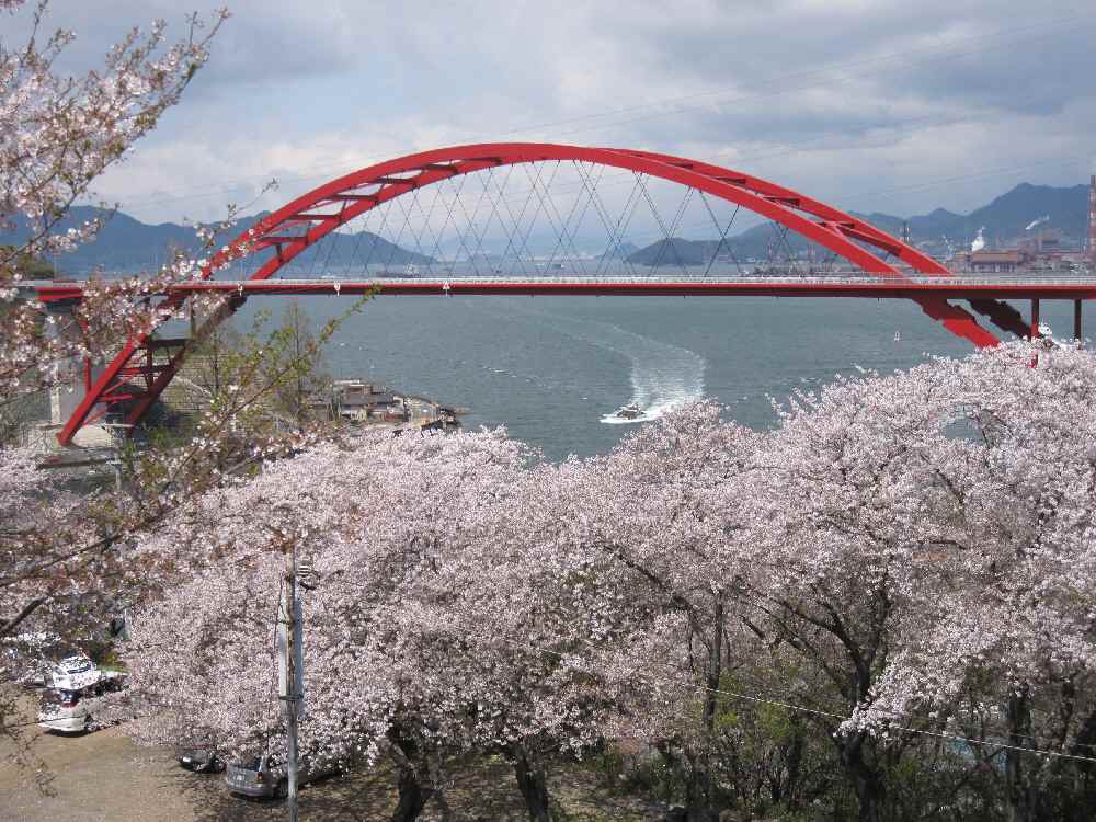 音戸の瀬戸は桜の名所としても有名な花見スポット！海峡の絶景を楽しむ！