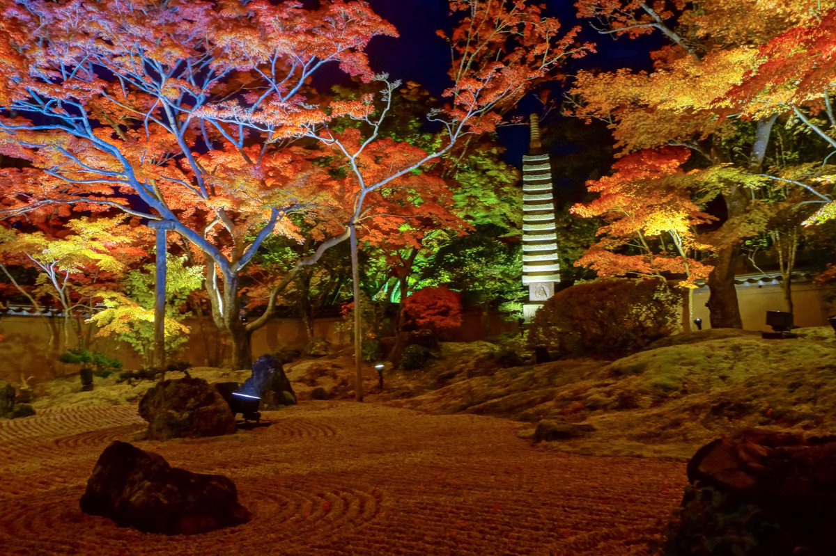 松島のライトアップが美しい 紅葉シーズンの見頃は アクセス 駐車場をご紹介 Travelnote トラベルノート