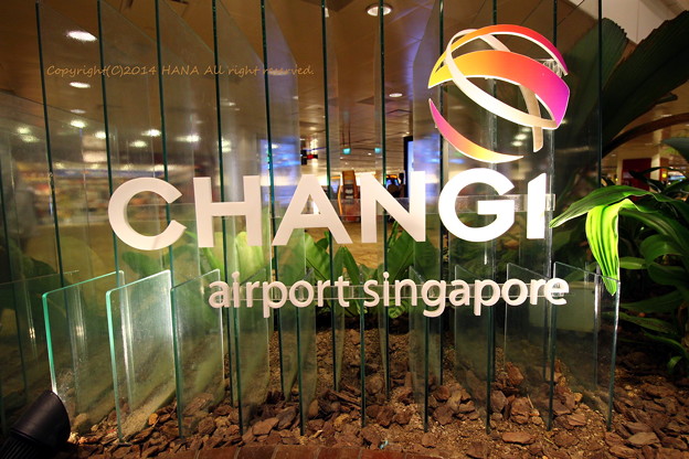 チャンギ国際空港を使いこなす 免税店やレストランにアクセスも Travelnote トラベルノート