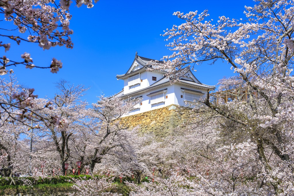 岡山津山観光おすすめスポットのご紹介 津山線のslや温泉もあり Travelnote トラベルノート