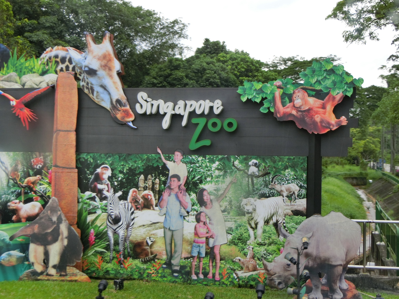 シンガポール動物園へのアクセスやシャトルバスを紹介！動物たちに会いに行こう！
