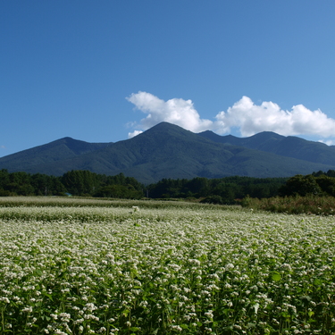 天狗岳登山の日帰りルートや所要時間 利用できる駐車場情報や難易度も紹介 Travelnote トラベルノート