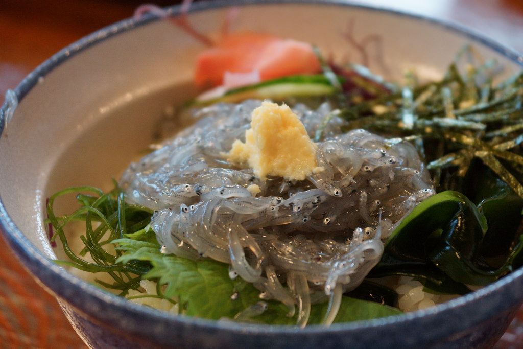 鎌倉でしらす丼食べるなら？おすすめの時期や人気のお店を紹介！