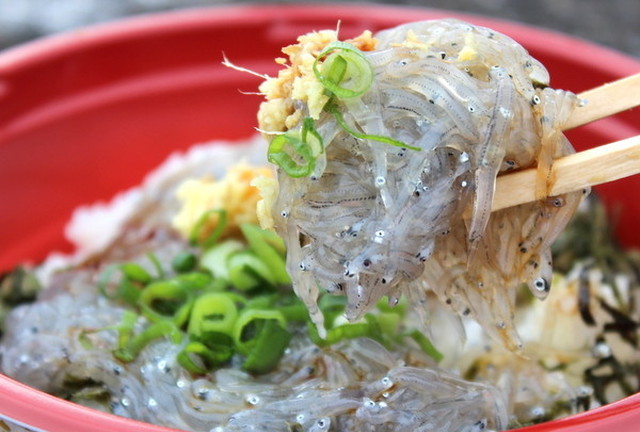 鎌倉のランチで安いのは しらすなど海鮮丼が安く食べられる Travelnote トラベルノート