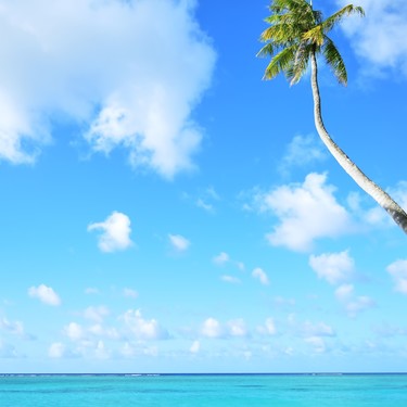 ハワイのビーチ15選 きれいな海はどこ ワイキキビーチは外せない Travelnote トラベルノート