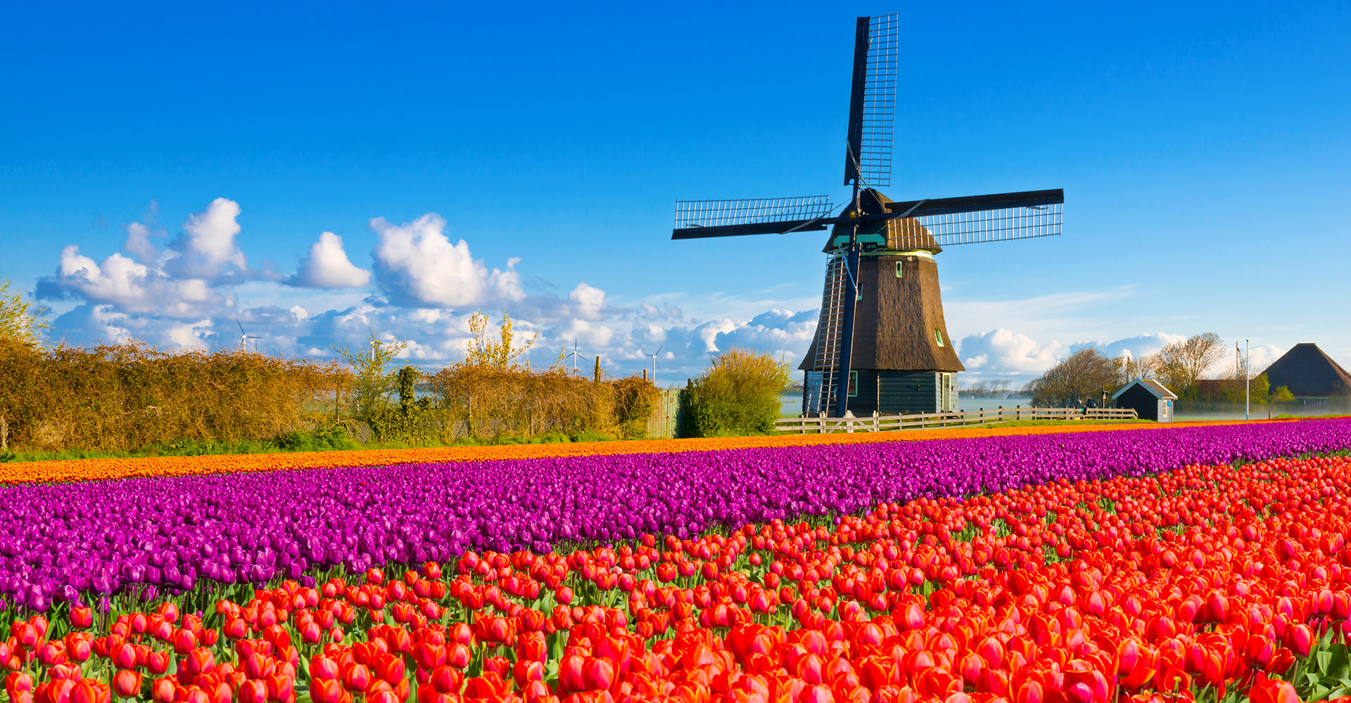 オランダの首都は2つある アムステルダムとハーグの機能や観光事情を調査 Travelnote トラベルノート