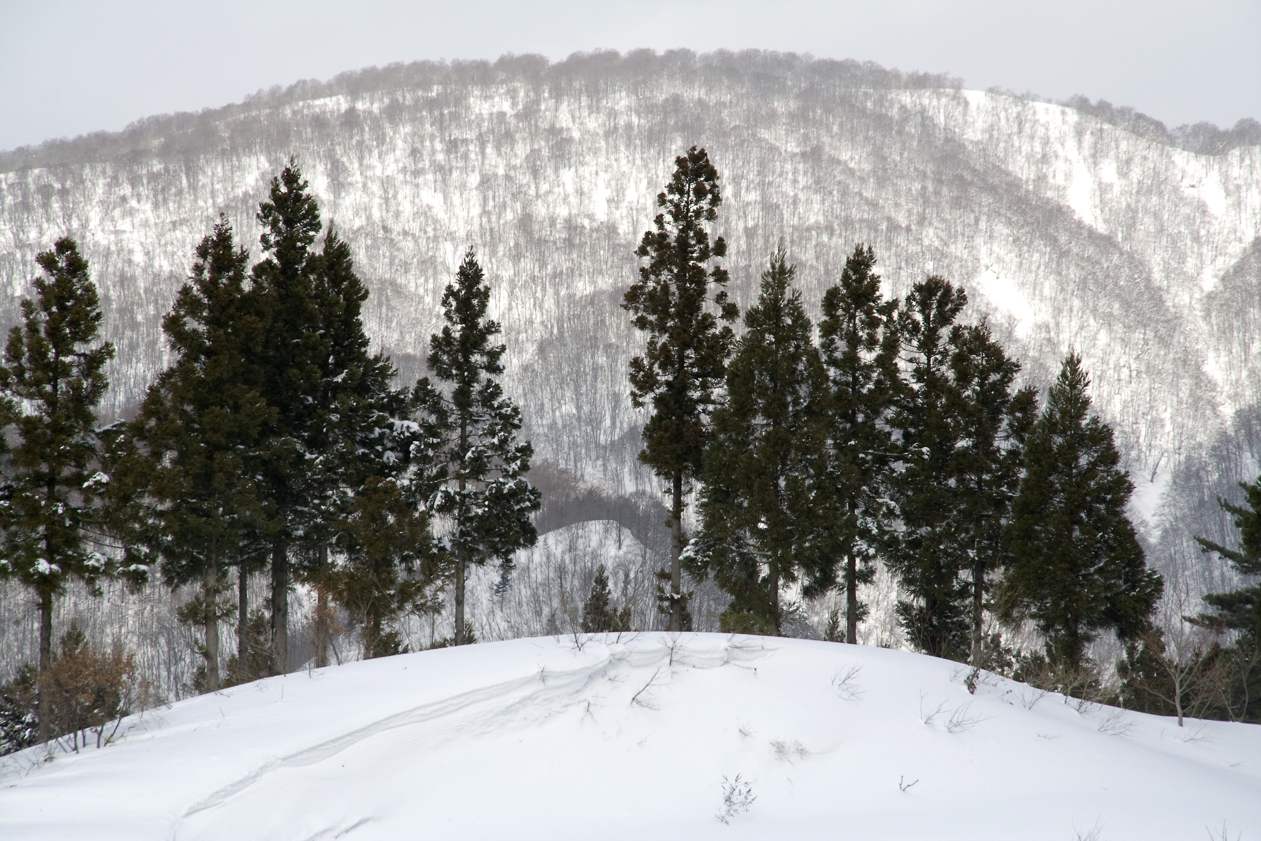 九州のおすすめスキー場は 子供や初心者も楽しめる人気のゲレンデ情報 Travelnote トラベルノート