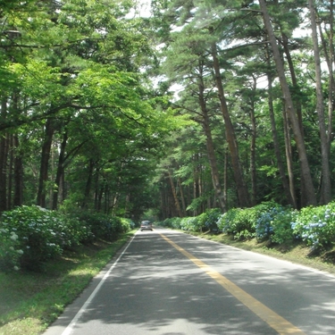 那須でステーキグルメ 栃木牛が安くて美味しく食べられるおすすめ人気店7選 Travelnote トラベルノート